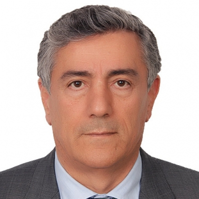 Prof. Dr. Faysal Gök