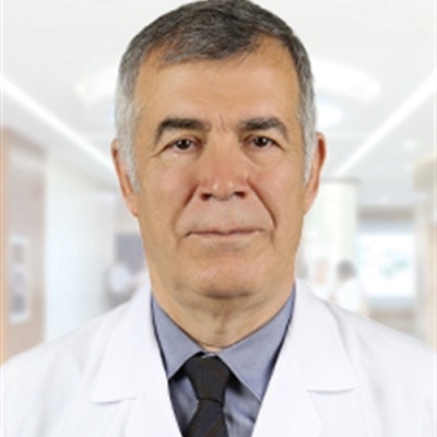 Prof. Dr. Mehmet Kemal Baysal