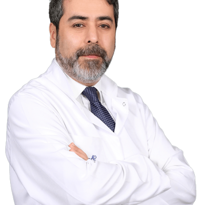 Prof. Dr. AHMET KOÇ