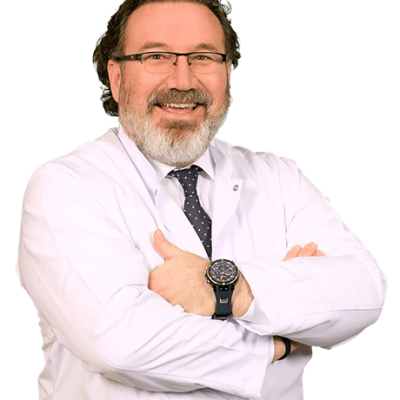 Prof. Dr. AHMET DEMİRKAYA