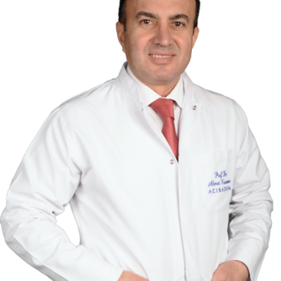 Prof. Dr. AHMET KARAMAN